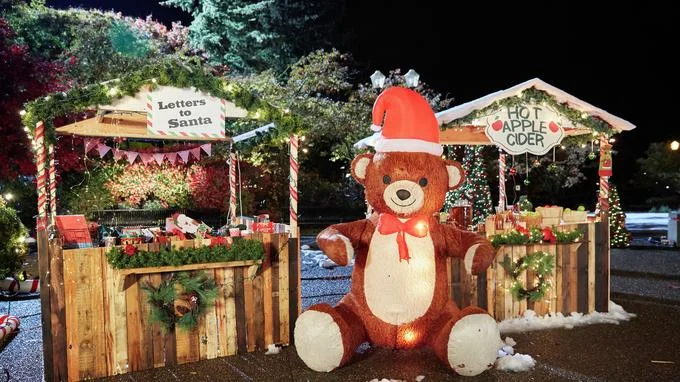 Un Noël à Springdale
